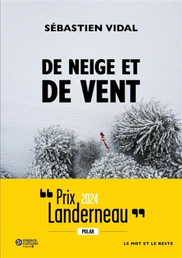 visuel De neige et de vent